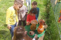 Grădinița cu program prelungit Căsuța Piticilor
