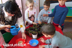 Grădinița cu program prelungit  Căsuța Piticilor