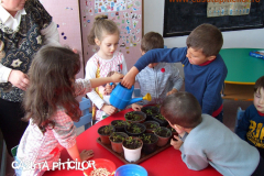 Grădinița cu program prelungit  Căsuța Piticilor