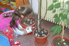Grădinița cu program prelungit  Căsuța Piticilor