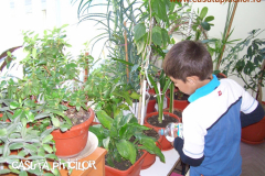 Grădinița cu program prelungit  Căsuța Piticilor