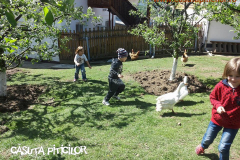 Grădinița cu program prelungit  Căsuța Piticilor