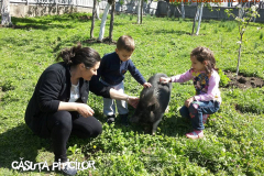 Grădinița cu program prelungit  Căsuța Piticilor