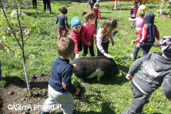 Grădinița cu program prelungit  Căsuța Piticilor